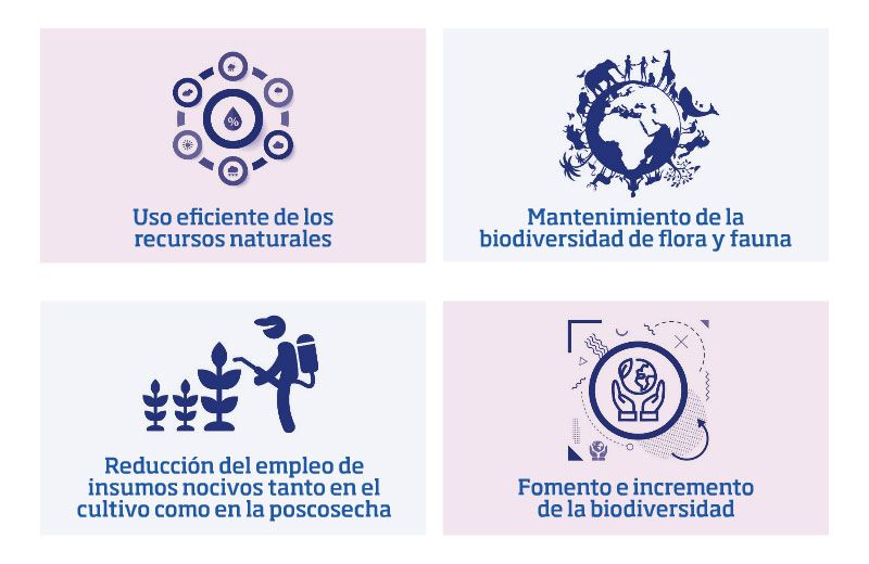 Cuatro objetivos sostenibles