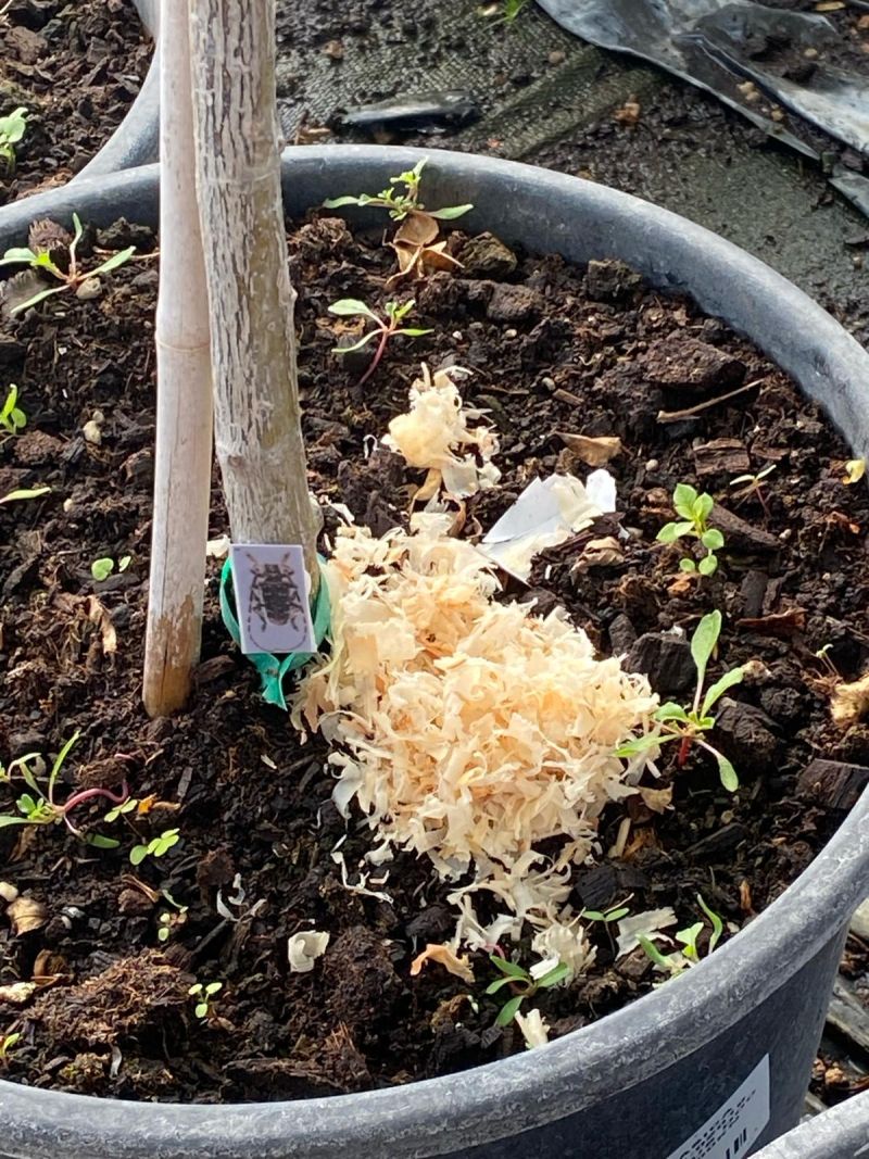 Garantizar la sostenibilidad de los resultados