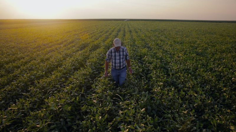 Agrosostenibilidad: una realidad que continúa avanzado