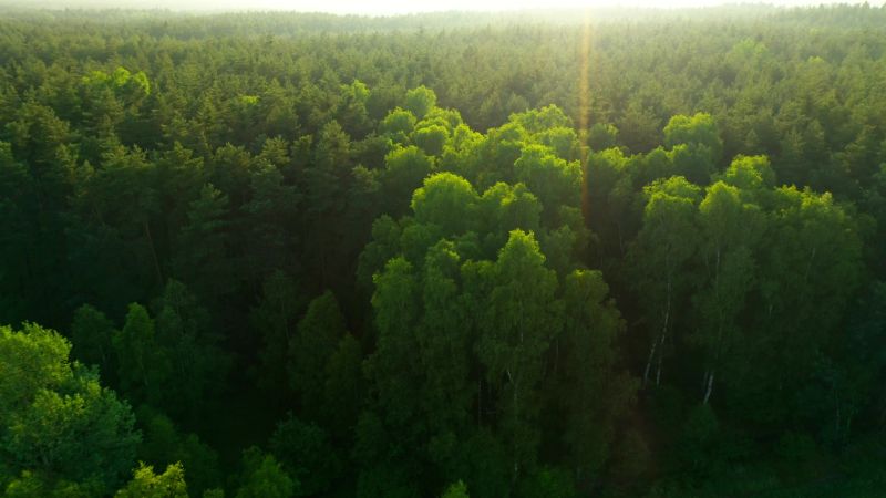 Los productos se suman al reto de la descarbonización