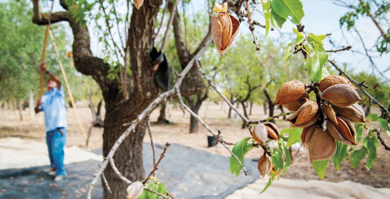 Comunicación ambiental fiable para el sector de la alimentación