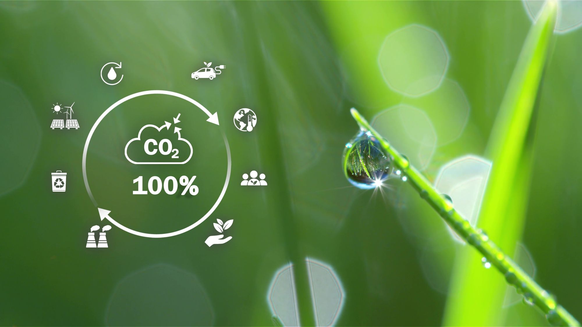 ISO 14068: el nuevo estándar internacional para la neutralidad de carbono verificable